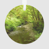 Lost Man Creek I au Redwood National Park (dos)