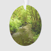 Lost Man Creek I au Redwood National Park (devant)