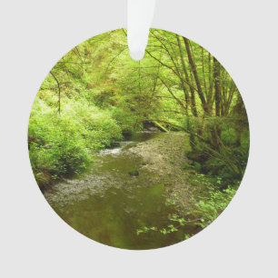 Lost Man Creek I au Redwood National Park