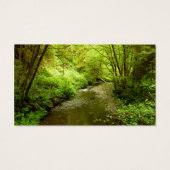 Lost Man Creek I au Redwood National Park (Dos)