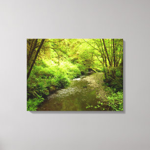Lost Man Creek I in Redwood National Park Canvas Afdruk