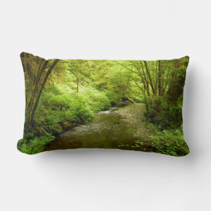 Lost Man Creek I in Redwood National Park Kussen