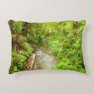 Lost Man Creek II in Redwood National Park Accent Kussen