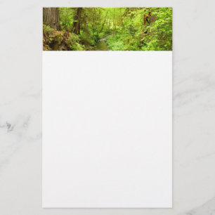Lost Man Creek II in Redwood National Park Briefpapier