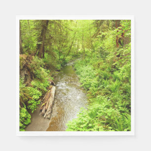 Lost Man Creek II in Redwood National Park Servet