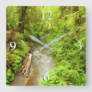 Lost Man Creek II in Redwood National Park Vierkante Klok