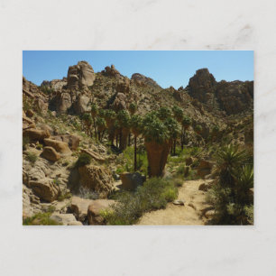 Lost Palms Oasis II in Joshua Tree National Park Briefkaart