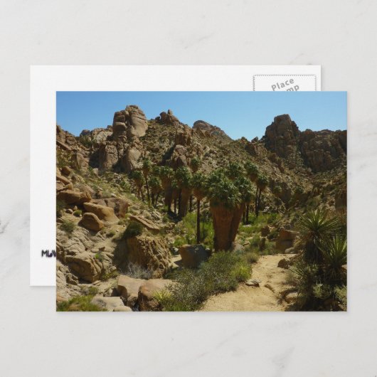 Lost Palms Oasis II in Joshua Tree National Park Briefkaart (Voorkant / Achterkant)