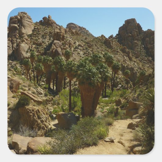 Lost Palms Oasis II in Joshua Tree National Park Vierkante Sticker (Voorkant)