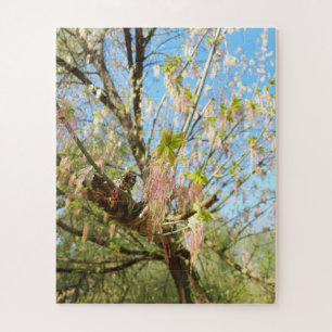 Lost Places, Meadowlands natuur, Lente ontwaken Legpuzzel