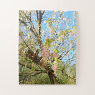 Lost Places, Meadowlands natuur, Lente ontwaken Legpuzzel