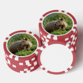Lot De Jeton De Poker Aardvark (Empiler)