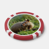 Lot De Jeton De Poker Aardvark (Simple)