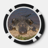 Lot De Jeton De Poker Alligator. Face à face (Verso)