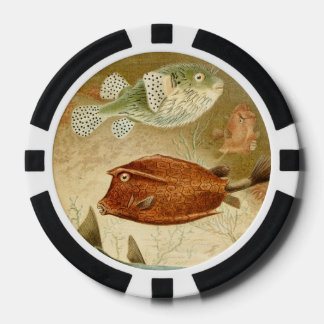 Lot De Jeton De Poker Aquatique néerlandais