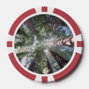 Lot De Jeton De Poker Arbres de séquoia à puces de poker Vue de dessus D