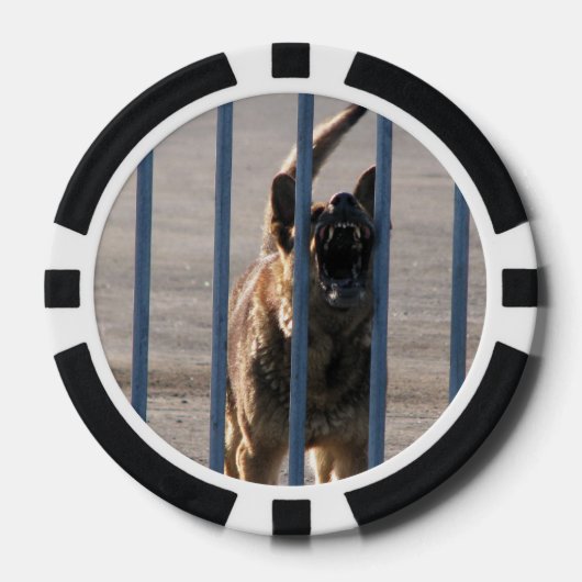 Lot De Jeton De Poker Barking (Recto)