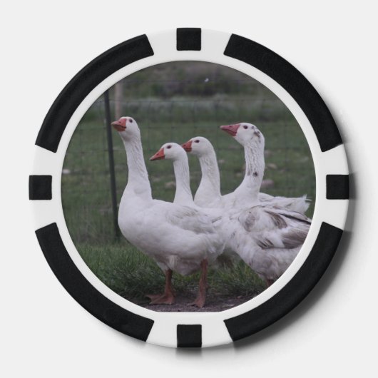Lot De Jeton De Poker Canard (Recto)