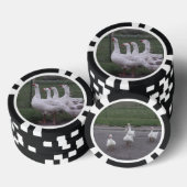 Lot De Jeton De Poker Canard (Empiler)