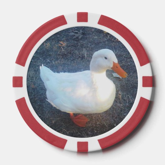 Lot De Jeton De Poker Canard (Recto)