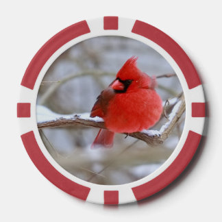 Lot De Jeton De Poker  Cardinals_Poker_Chips 