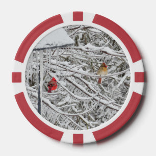 Lot De Jeton De Poker Cardinaux