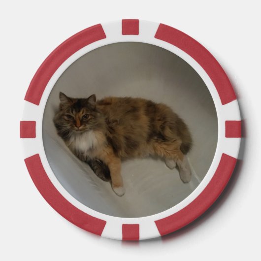 Lot De Jeton De Poker Cat (Recto)
