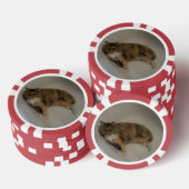 Lot De Jeton De Poker Cat (Empiler)