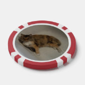 Lot De Jeton De Poker Cat (Simple)