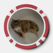 Lot De Jeton De Poker Cat (Verso)