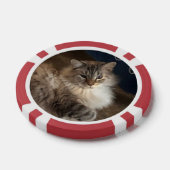 Lot De Jeton De Poker Cat (Simple)