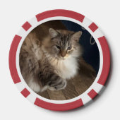 Lot De Jeton De Poker Cat (Verso)