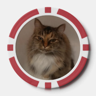 Lot De Jeton De Poker Chat 