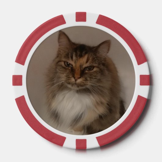 Lot De Jeton De Poker Chat (Recto)