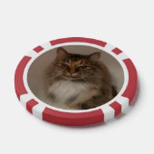 Lot De Jeton De Poker Chat (Simple)
