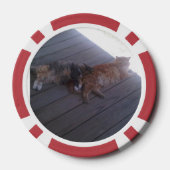 Lot De Jeton De Poker Chat (Verso)