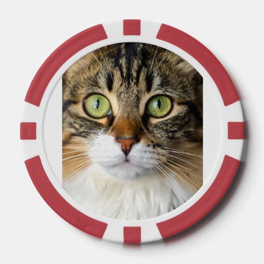 Lot De Jeton De Poker Chat (Recto)