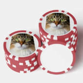 Lot De Jeton De Poker Chat (Empiler)