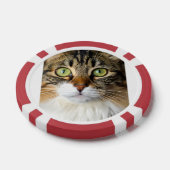 Lot De Jeton De Poker Chat (Simple)