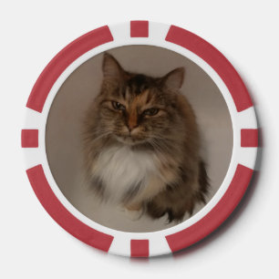Lot De Jeton De Poker Chat et chien