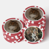 Lot De Jeton De Poker Chat et chien (Empiler)