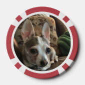 Lot De Jeton De Poker Chat et chien (Verso)