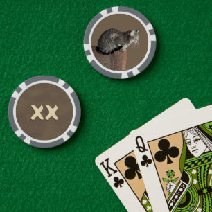 Lot De Jeton De Poker Chat Tabby Gris Fumé