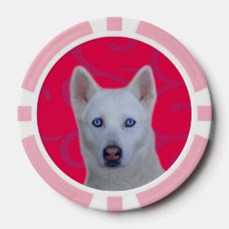 Lot De Jeton De Poker Chips de poker en argile blanche en Sibérie, en ba