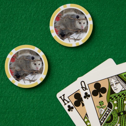 Lot De Jeton De Poker Chips de poker Opossum Nature (Table de poker (double))