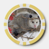 Lot De Jeton De Poker Chips de poker Opossum Nature (Recto)