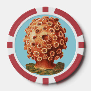 Lot De Jeton De Poker Corail Rouge de Ernst Haeckel Vie Naútíque Marine