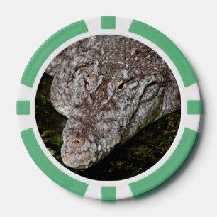 Lot De Jeton De Poker Crocodile