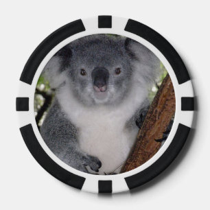Lot De Jeton De Poker Destiny Zazzle Cute Koala Aussi Outback Animal Art