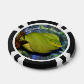 Lot De Jeton De Poker Émeraude Boa Pet Snake (Simple)